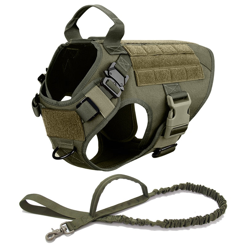 Dog Harness set